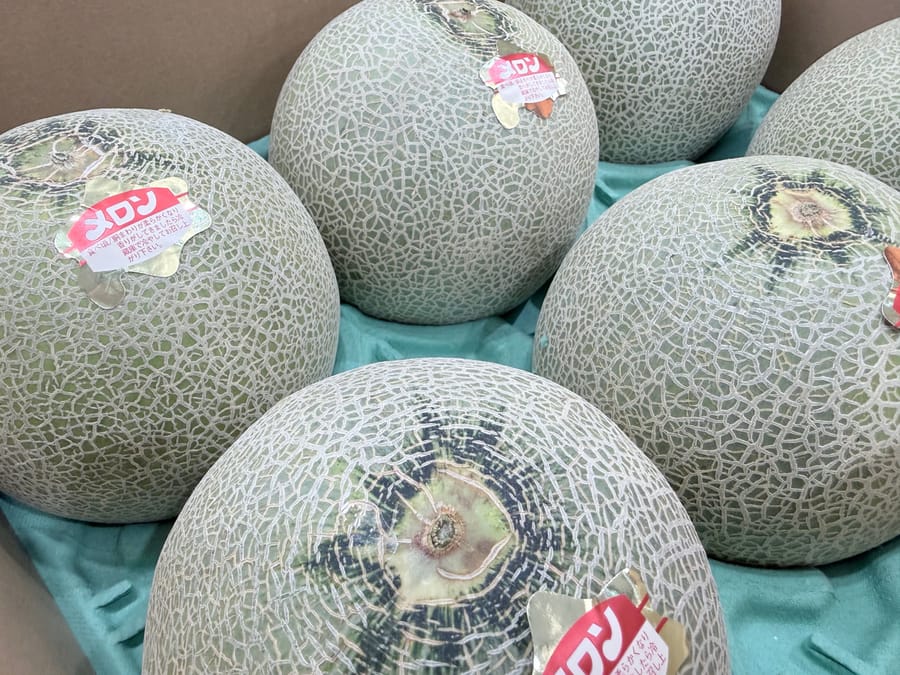メロン
