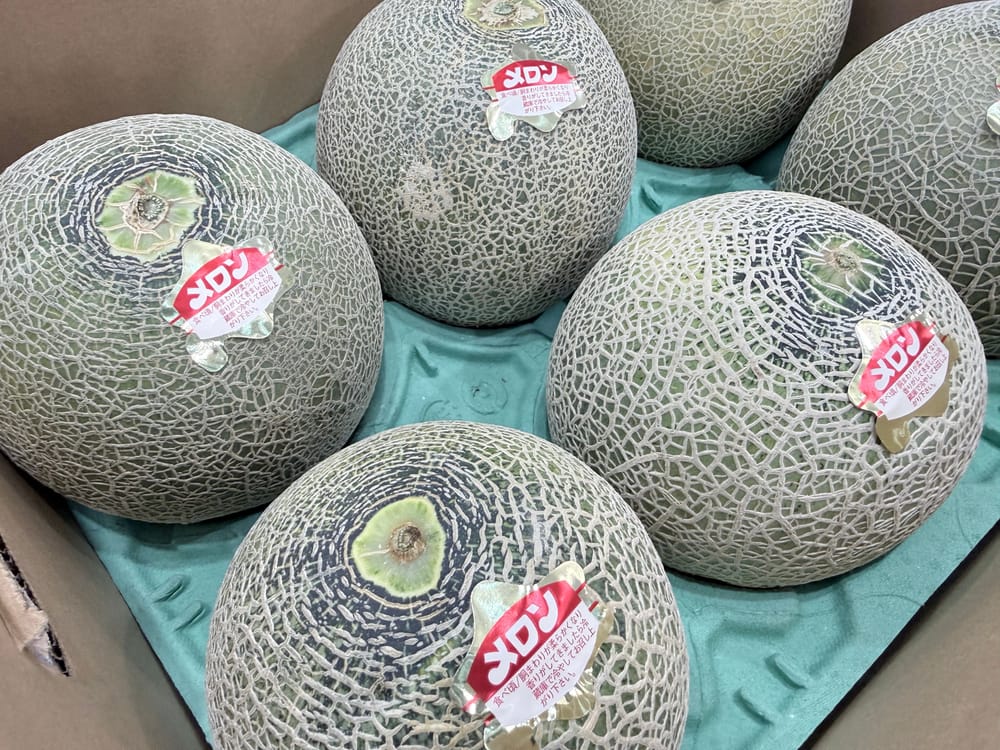 取り扱ったメロン