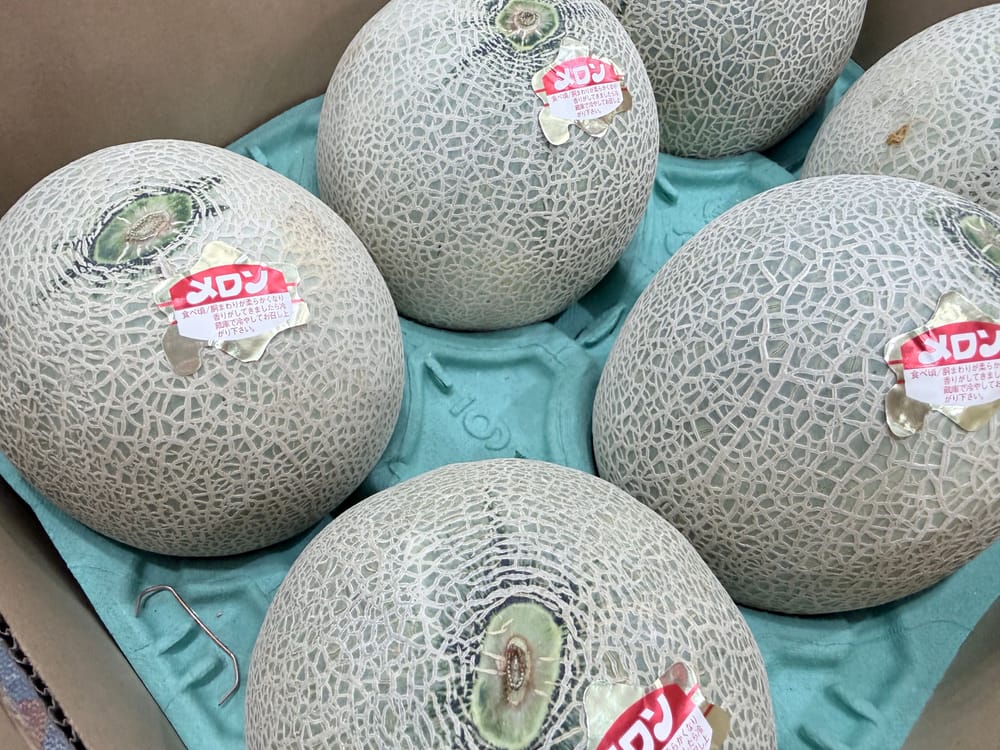 箱に並んだメロン