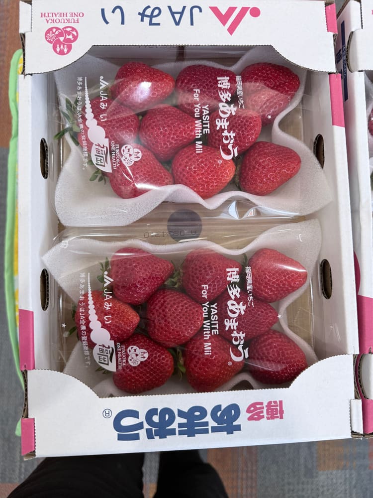 取り扱ったいちご